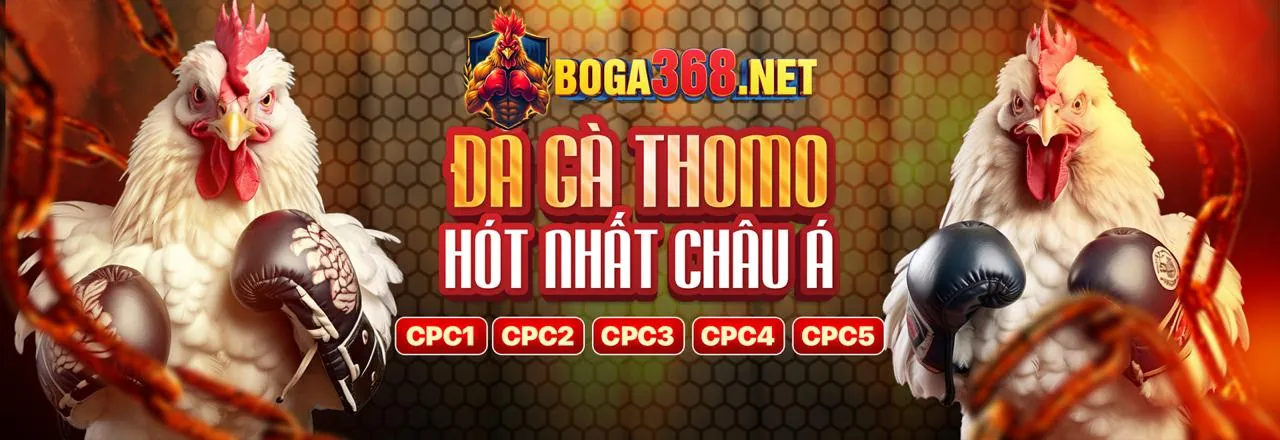 Đá Gà Trực Tuyến Zowin APK